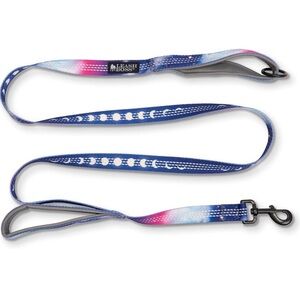 Leash Boss Martingale Collar and Leash Set | Reflective | Space Design | M/L